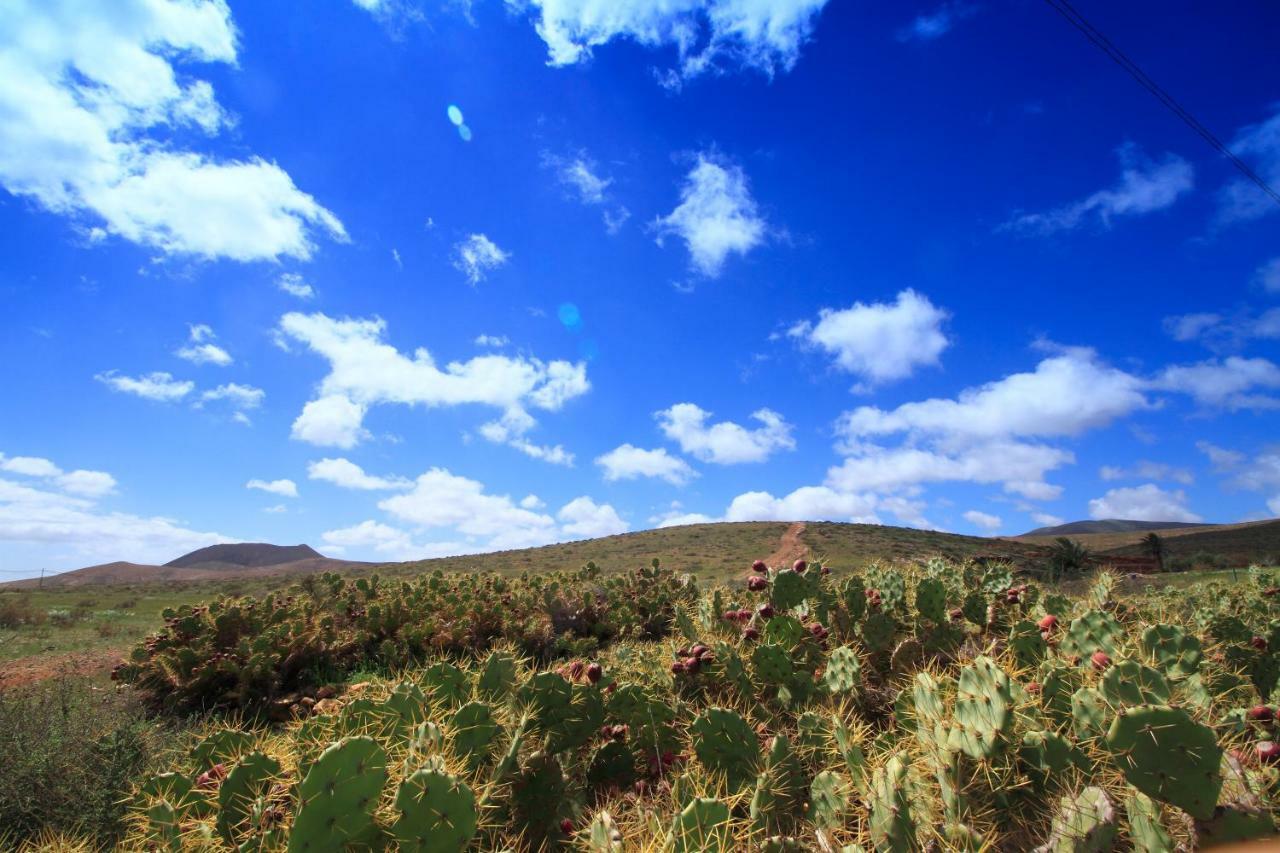 Montana Valles De Ortega -C Extérieur photo